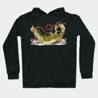 Caiman Alligator And Snake - Vintage Drawing: Hoodie